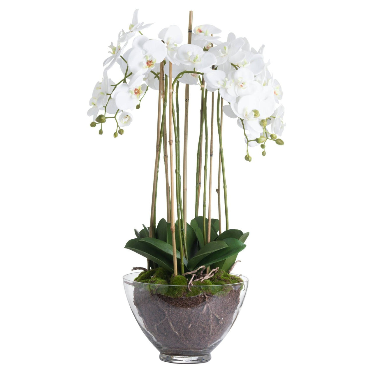 Beautiful Round Glass Pot With Large Silk White Orchid And Artificial Leaves 88x70cm