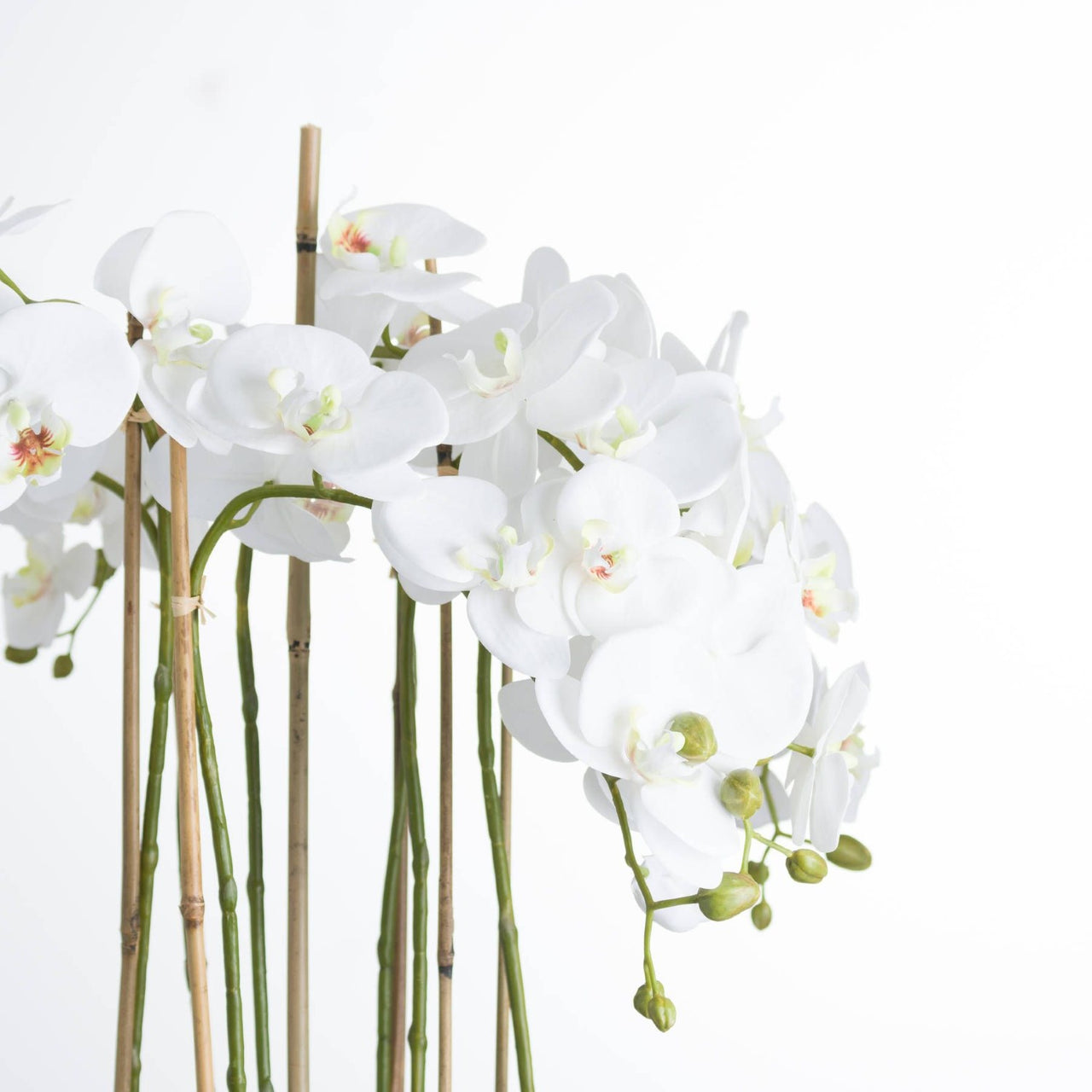 Beautiful Round Glass Pot With Large Silk White Orchid And Artificial Leaves 88x70cm