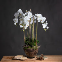 Thumbnail for Beautiful Round Glass Pot With Large Silk White Orchid And Artificial Leaves 88x70cm