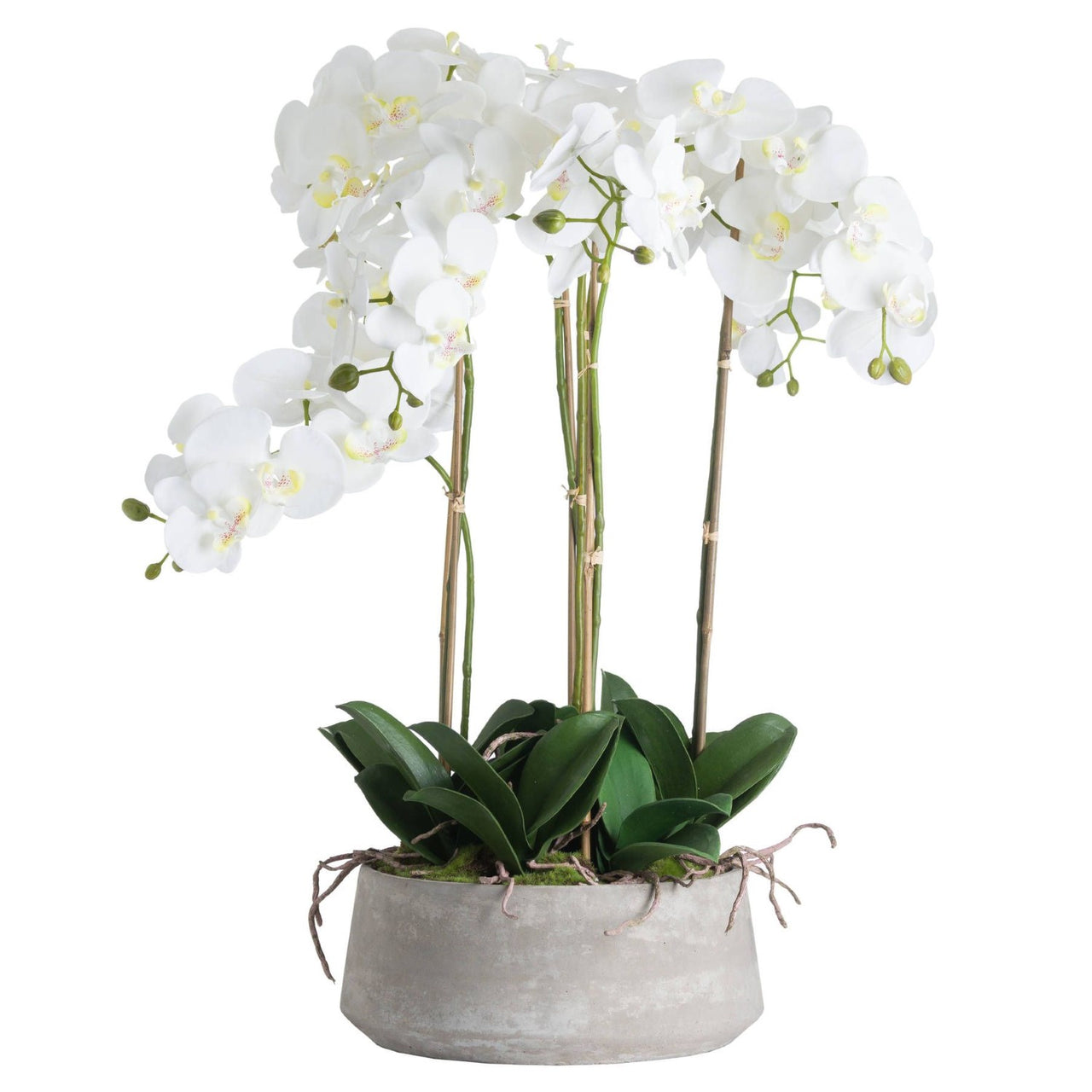 Large Silk White Orchid With Succulents In a Modern Round Stone Pot