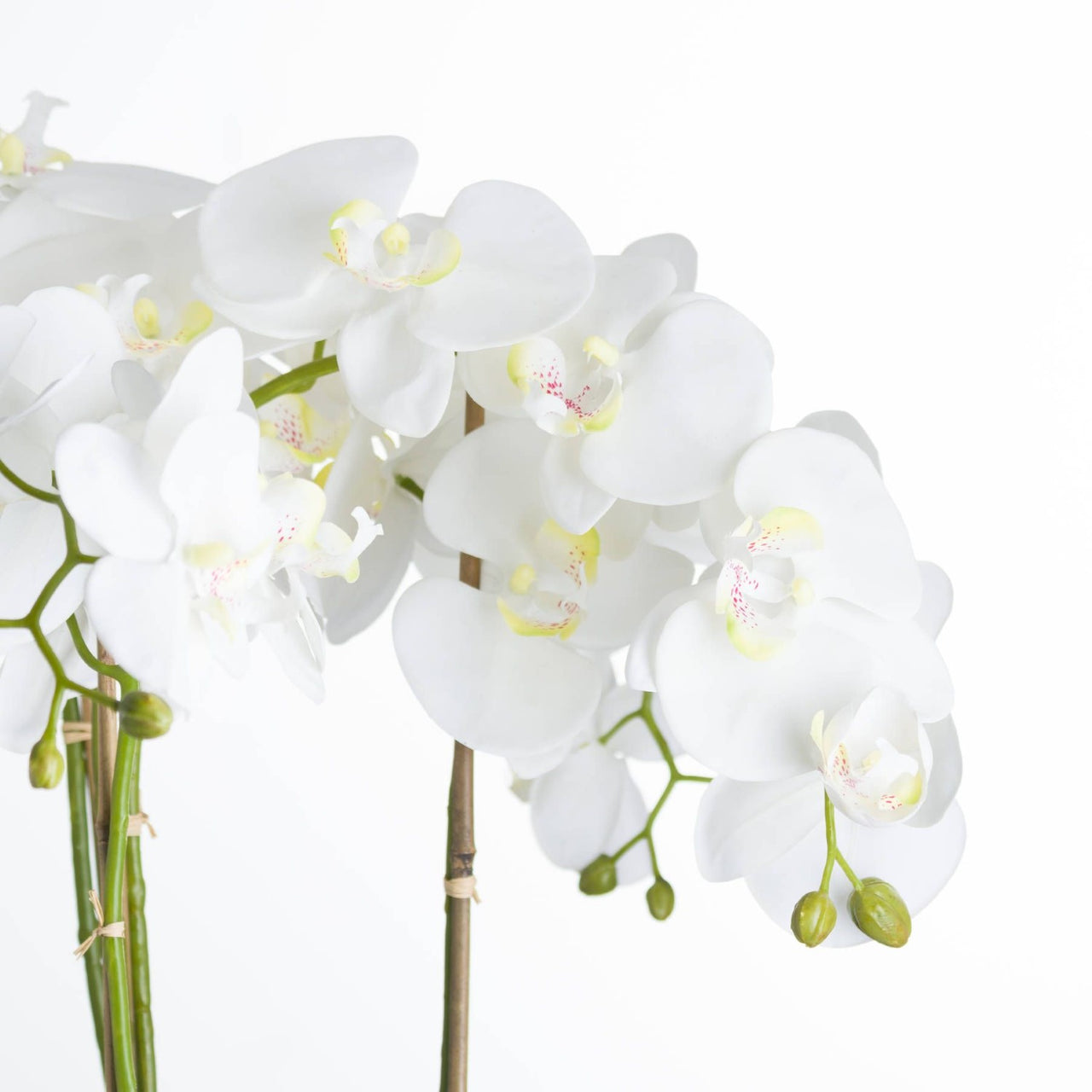 Large Silk White Orchid With Succulents In a Modern Round Stone Pot