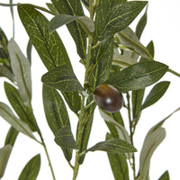 Thumbnail for Apulia Olive Tree In White Pot 180Cm