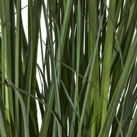 Thumbnail for Large White Agapanthus Plant In Pot