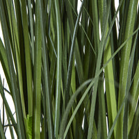 Thumbnail for Large Blue Agapanthus Plant In Pot