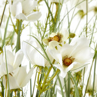 Thumbnail for Large White Meadow Plant In Pot