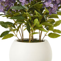 Thumbnail for Medium Purple Hydrangea Plant In Pot