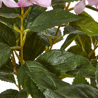 Thumbnail for Large Pink Hydrangea Plant In Pot