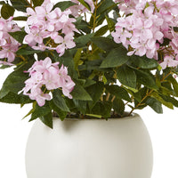 Thumbnail for Large Pink Hydrangea Plant In Pot