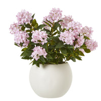 Thumbnail for Large Pink Hydrangea Plant In Pot