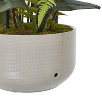 Thumbnail for Large White Orchid In Ceramic Pot