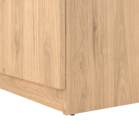 Thumbnail for Naia Shoe Cabinet with 2 Doors +1 Drawer in Jackson Hickory Oak and Black