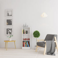 Thumbnail for Basic Low Narrow Bookcase (2 Shelves) in White