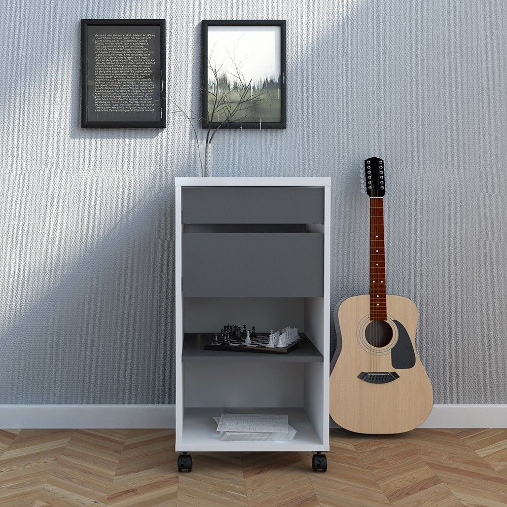 Function Plus Mobile file cabinet 2 drawers + 1 shelf