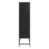 Thumbnail for Newcastle 2 Door Cabinet in Matt Black